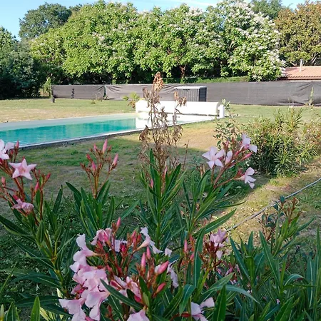 Maison 9 Couchages Avec Piscine * Soustons
